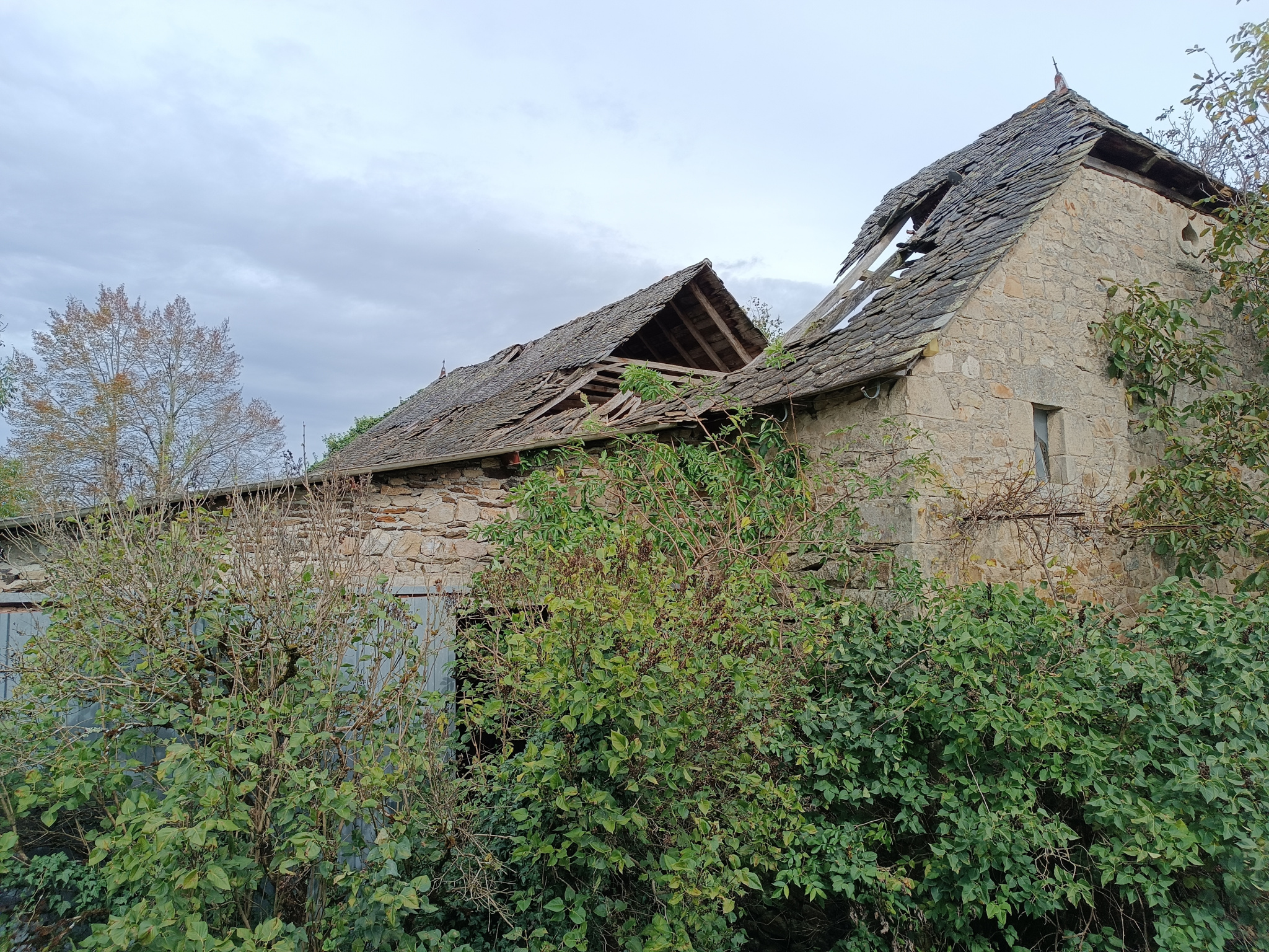 Agence immobilière de Open Immobilier