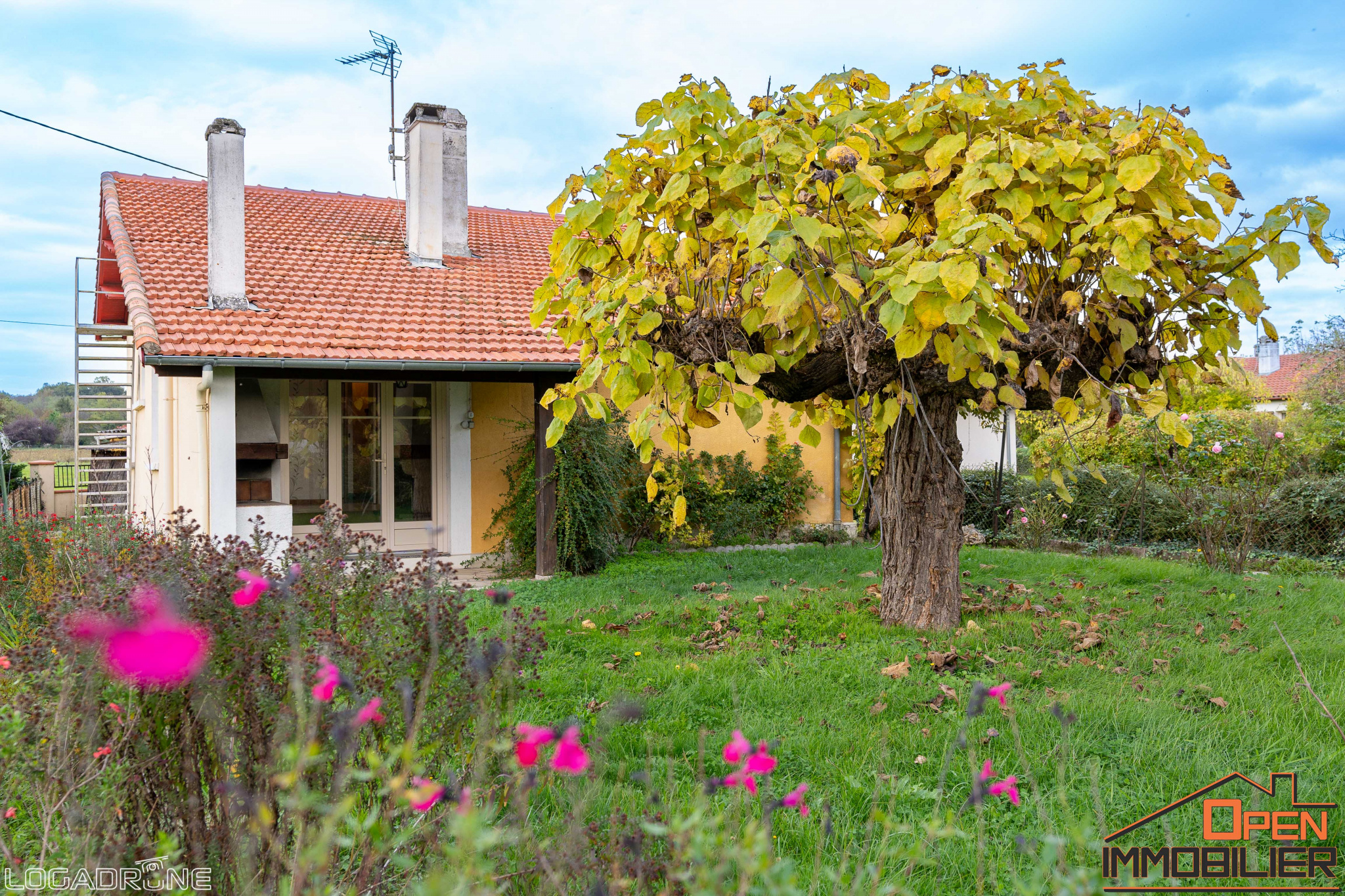 Agence immobilière de Open Immobilier